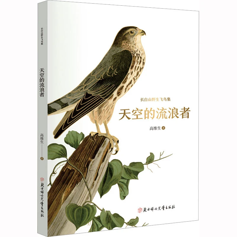 【2023年度中国好书】长白山野生飞鸟集 天空的流浪者