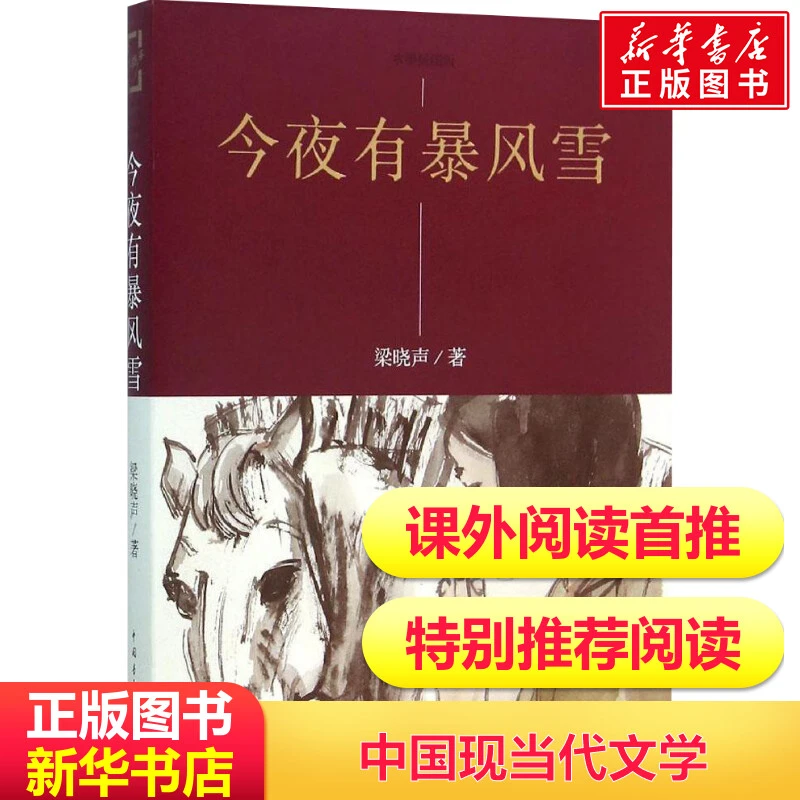 【文轩】今夜有暴风雪 中国现当代文学