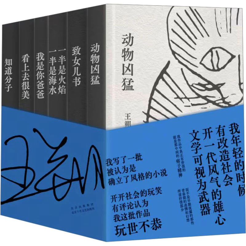 【文轩】王朔经典作品集(全6册) 作家作品集
