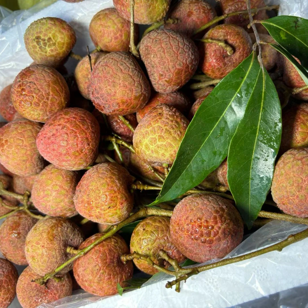 【顺丰冷链】新鲜荔枝福建乌叶荔枝黑叶荔枝现摘现发季水果整箱