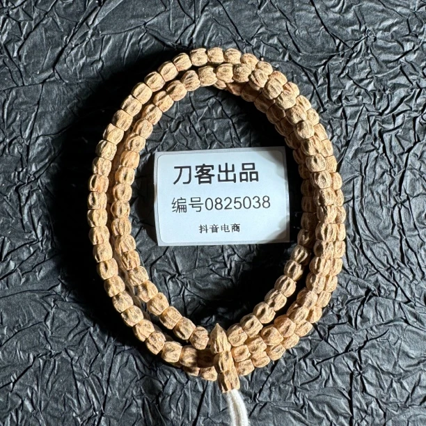 直切多棱鬼脸柏香籽25038