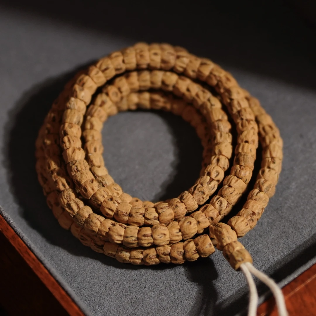 热振油皮满鬼红芽大肠柏香籽25021