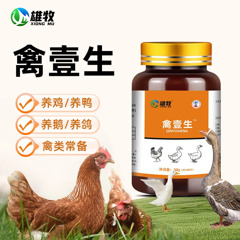 【雄牧】禽壹生鸡鸭鹅专用家禽养殖鸽子鹌鹑禽类通用厂家直销添加剂