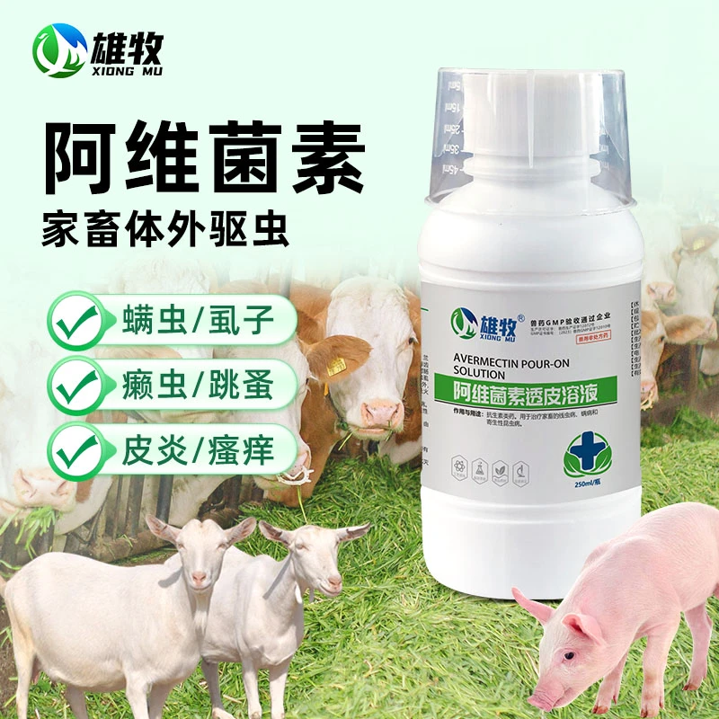 【雄牧】阿维菌素透皮溶液兽用药猪牛羊用驱虫疥螨虫线虫蛔虫虱溶液