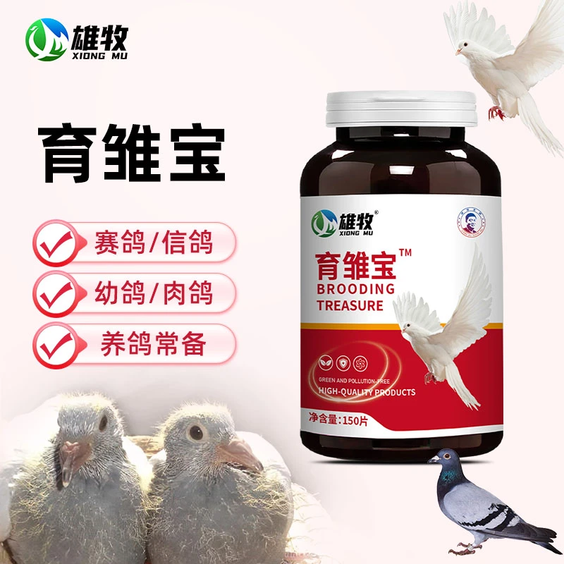 【雄牧】育雏宝幼鸽赛鸽肉鸽种鸽专用鸽育宝150片/瓶鸟通用厂家直销