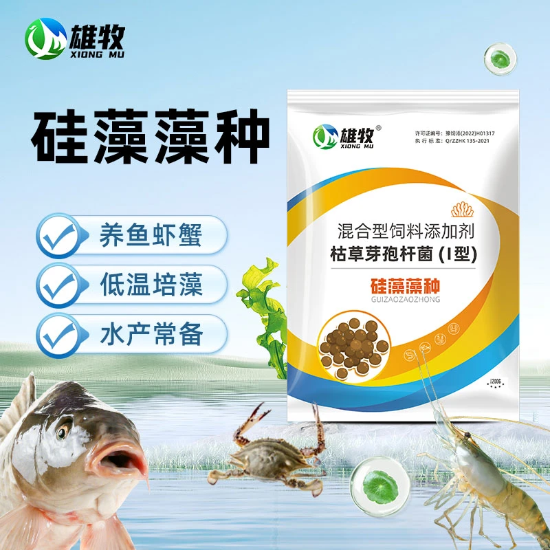 【雄牧】硅藻藻种水产养殖鱼虾蟹塘复合藻绿藻硅藻种水产专用
