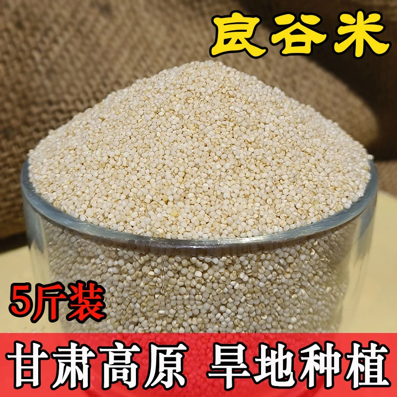 嘟角鲜良谷米5斤正宗甘肃特产农家旱地新米熬稀饭煮粥月子小米粥