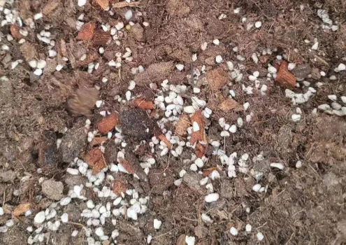 红掌专用营养土十升