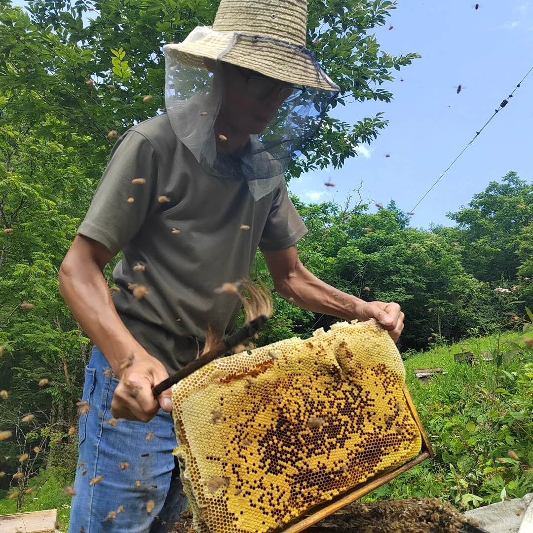 高海拔农家土蜂蜜原生态无添加零加工零添加的天然成熟原蜜