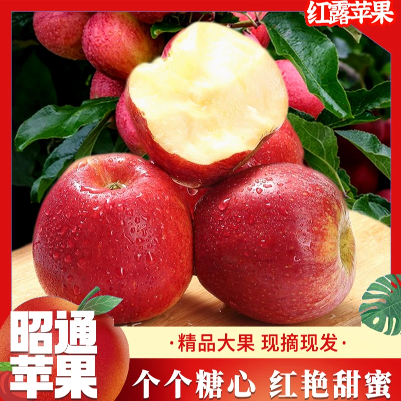 云南昭通苹果红露苹果 3斤当季新鲜水果香甜可口现摘现发产地直发