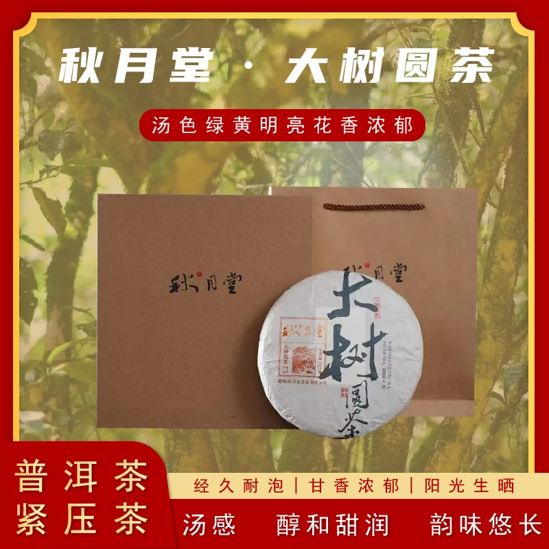 秋月堂2021年普洱茶大树圆茶古树纯料茶叶紧压茶批走量茶送礼盒装