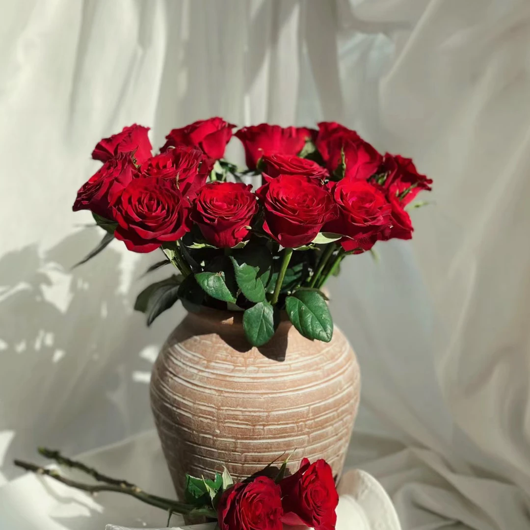 玫瑰专区     四单包邮