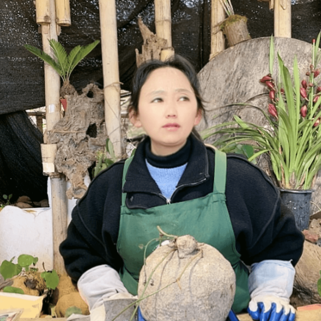【闪购商品】山乌龟好种好养