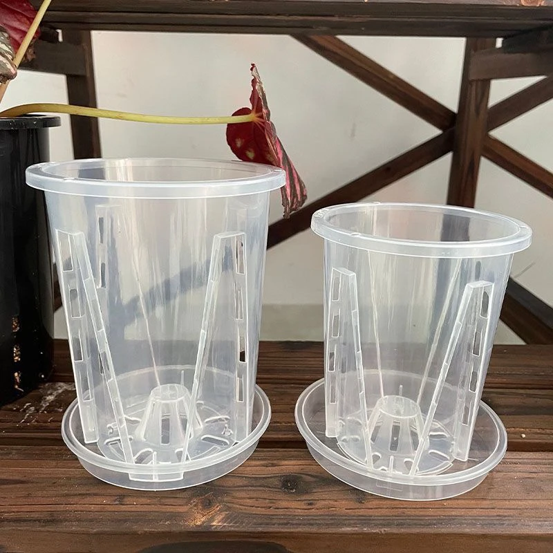 【秀新甄选】蝴蝶兰专用花盆水苔树皮通用透明青山盆控根透气兰花盆