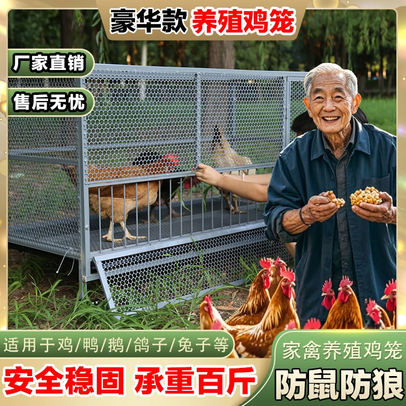 【豪华款】鸡笼特大号室外养殖设备家禽笼防鼠防狼家用耐用适用户外