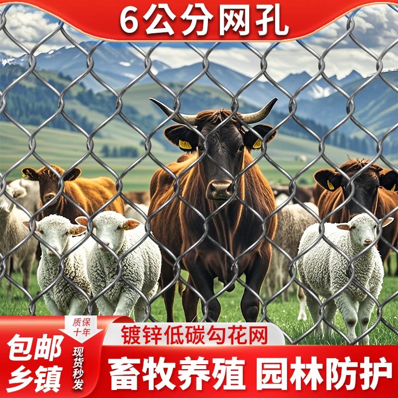 6孔勾花网热镀锌铁丝钢丝网勾花棱形网鸡鸭羊猪牛养殖网防护围栏