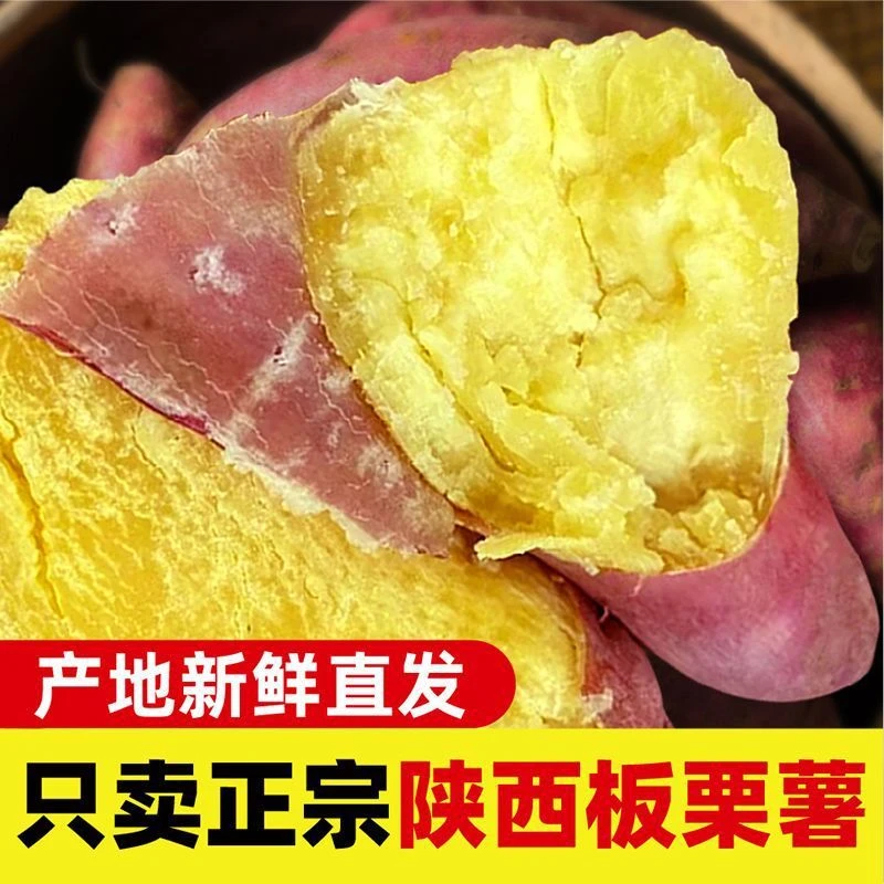 陕西板栗红薯新鲜香甜糯现挖现发地瓜农家自种蜜薯沙地薯番代发