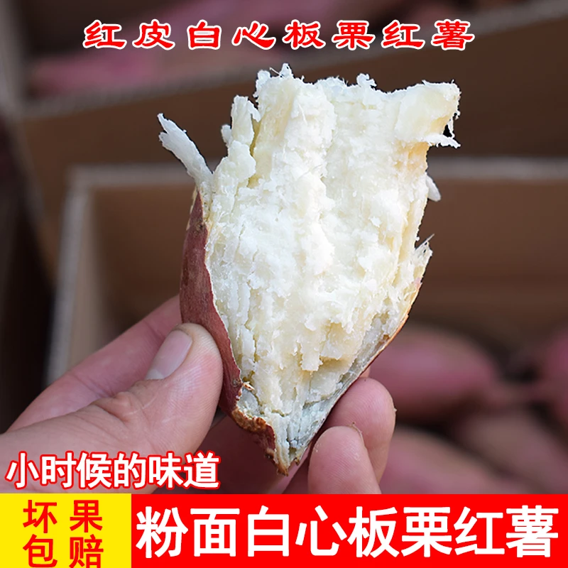 新鲜河南栗子白心红薯板栗白薯爆皮番薯粉糯蜜甜白瓤地瓜3/5/9斤