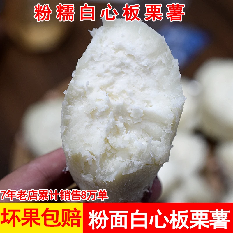 新鲜香糯栗子香白心红薯板栗白薯爆皮番薯老品种白心地瓜3/5/9斤