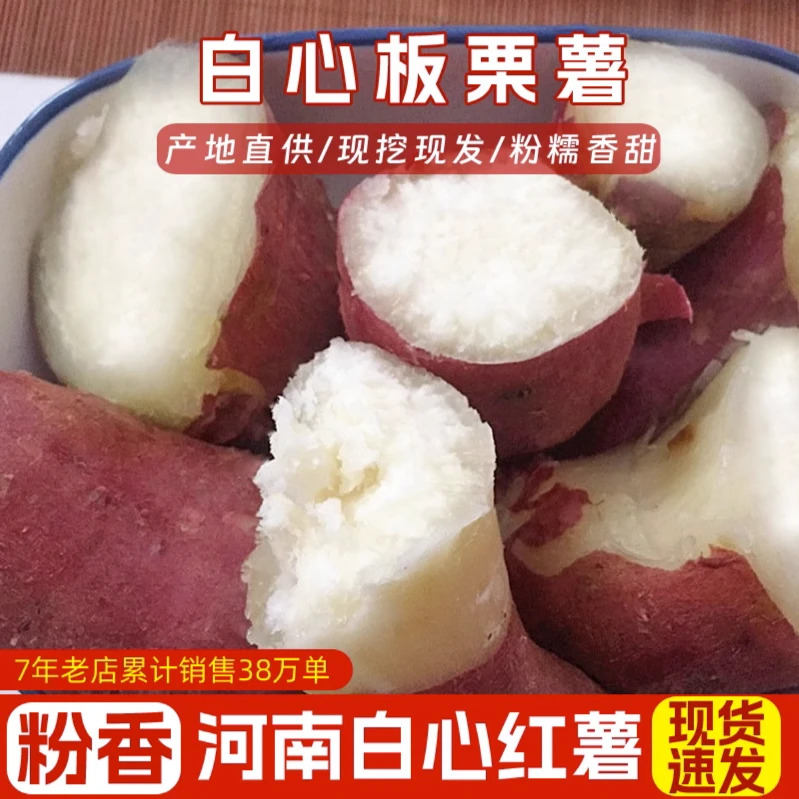 2025年新鲜栗子香白心红薯板栗白薯香糯爆皮白瓤地瓜2/3/5/9斤装