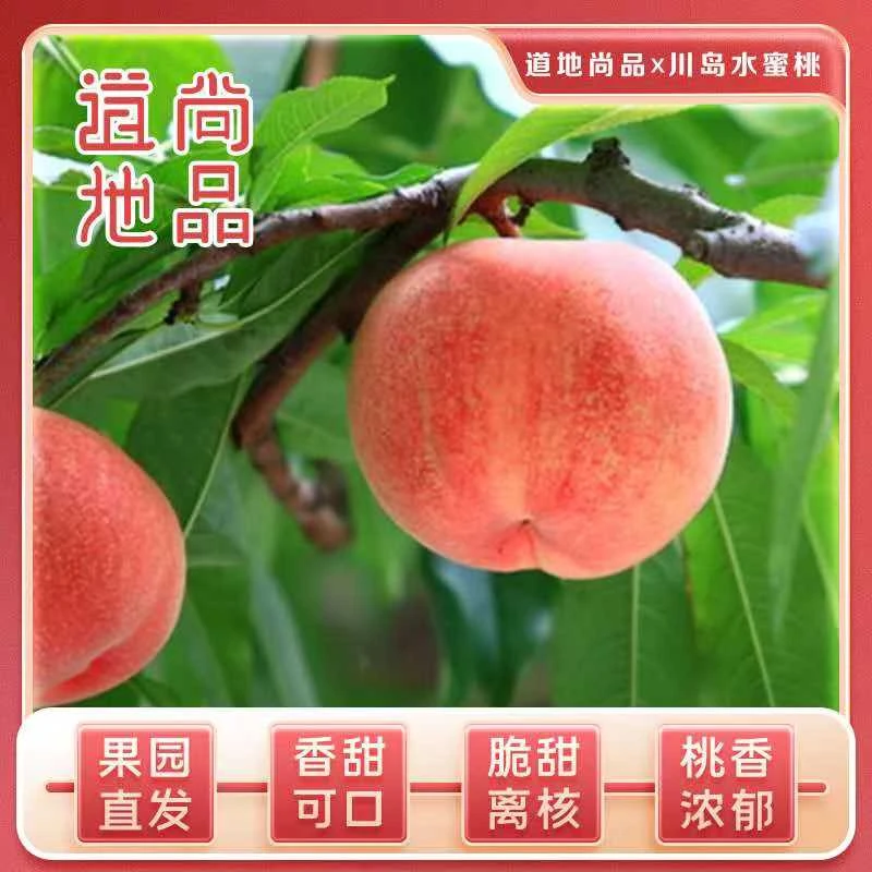【水蜜桃】【正宗肥城桃川岛】新鲜当季现摘水果脆软爆甜多汁果园直发