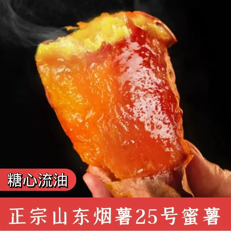 【江博尔】山东烟台烟薯25号香甜流蜜薯香四溢稀软细滑五斤装