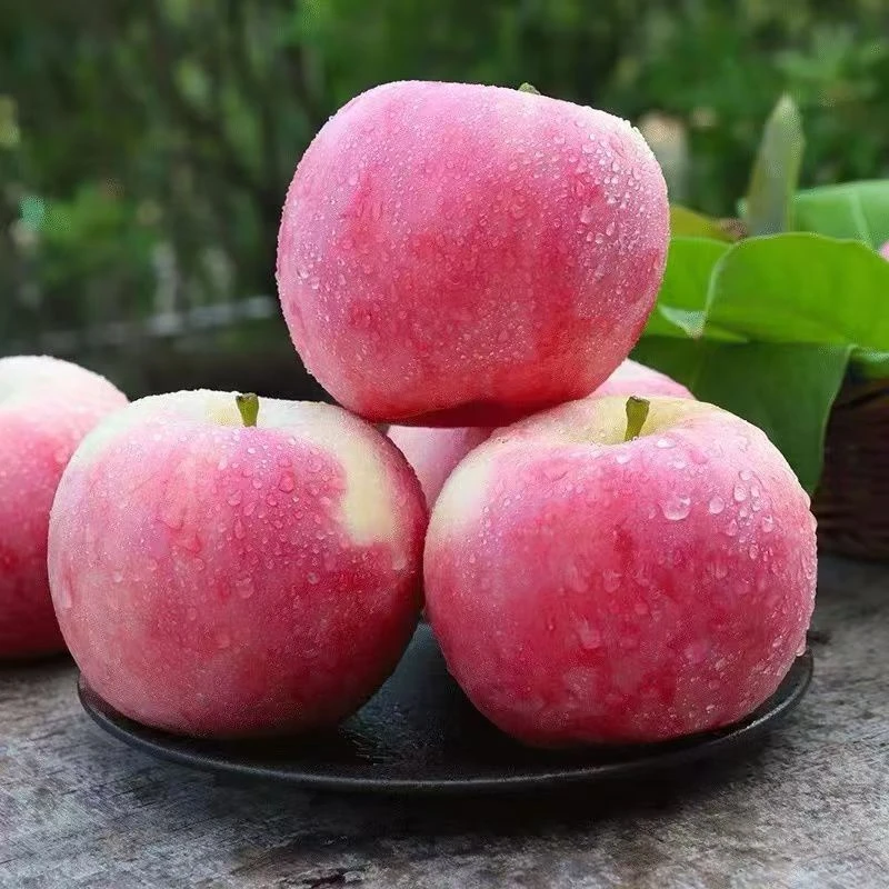【15年精品老树】新店特惠果园新鲜红富士丑苹果脆甜多汁产地直发