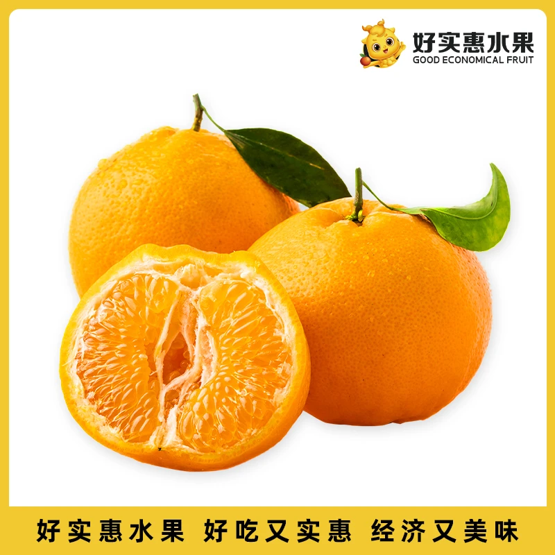 【好实惠水果】春见耙耙柑500g