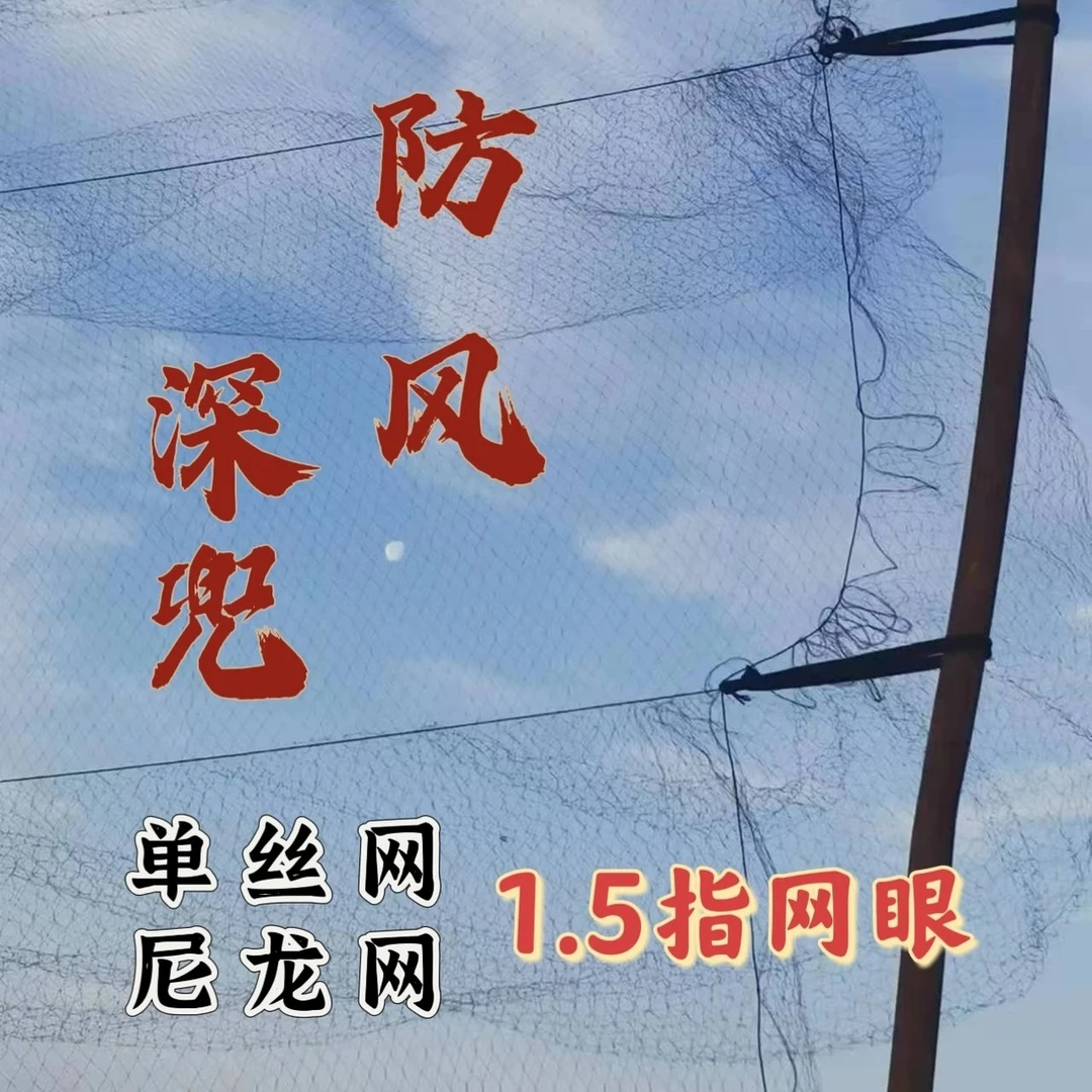 新款果园防护网防鸟用网加粗一次性尼龙线安全网稻田菜园通用网