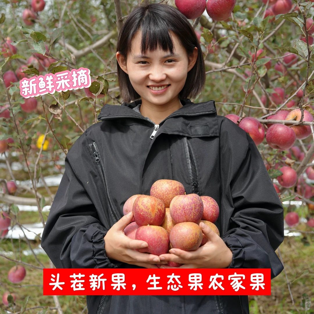 云南昭通丑苹果冰糖心苹果