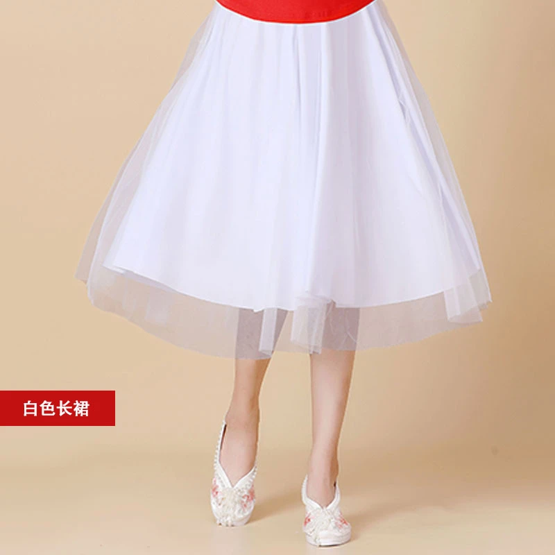广场舞服装新款跳舞半身裙 女中老年舞蹈大摆网纱中长裙 演出舞裙