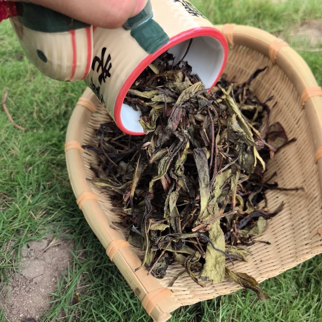 【今晚下单送2包旅行装】凤凰山鸭屎香茶头
