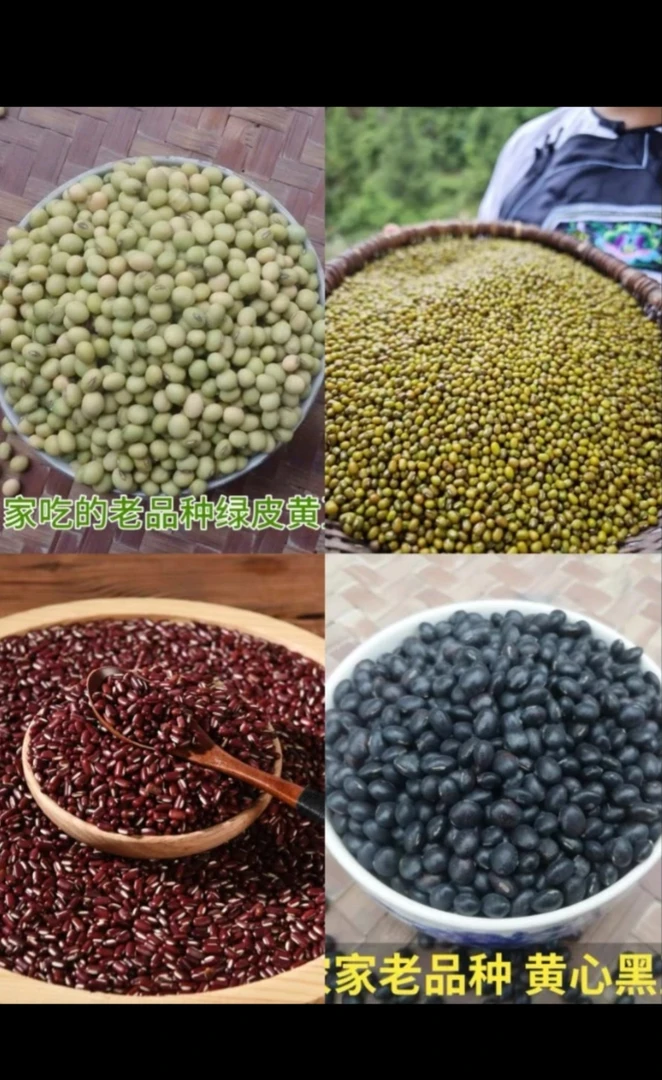 湘西农家黄豆/红豆/绿豆/黑豆