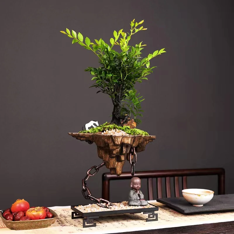 天空之城盆栽小叶紫檀丛林植物桌面绿植盆景盆栽室内好养护花卉