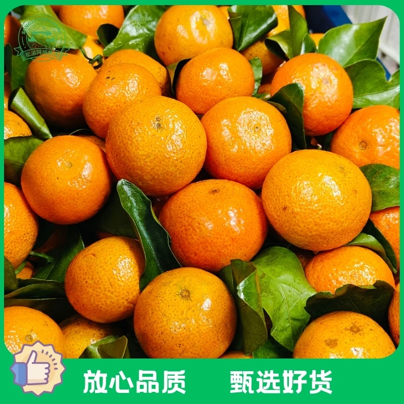 砂糖橘1斤/2斤