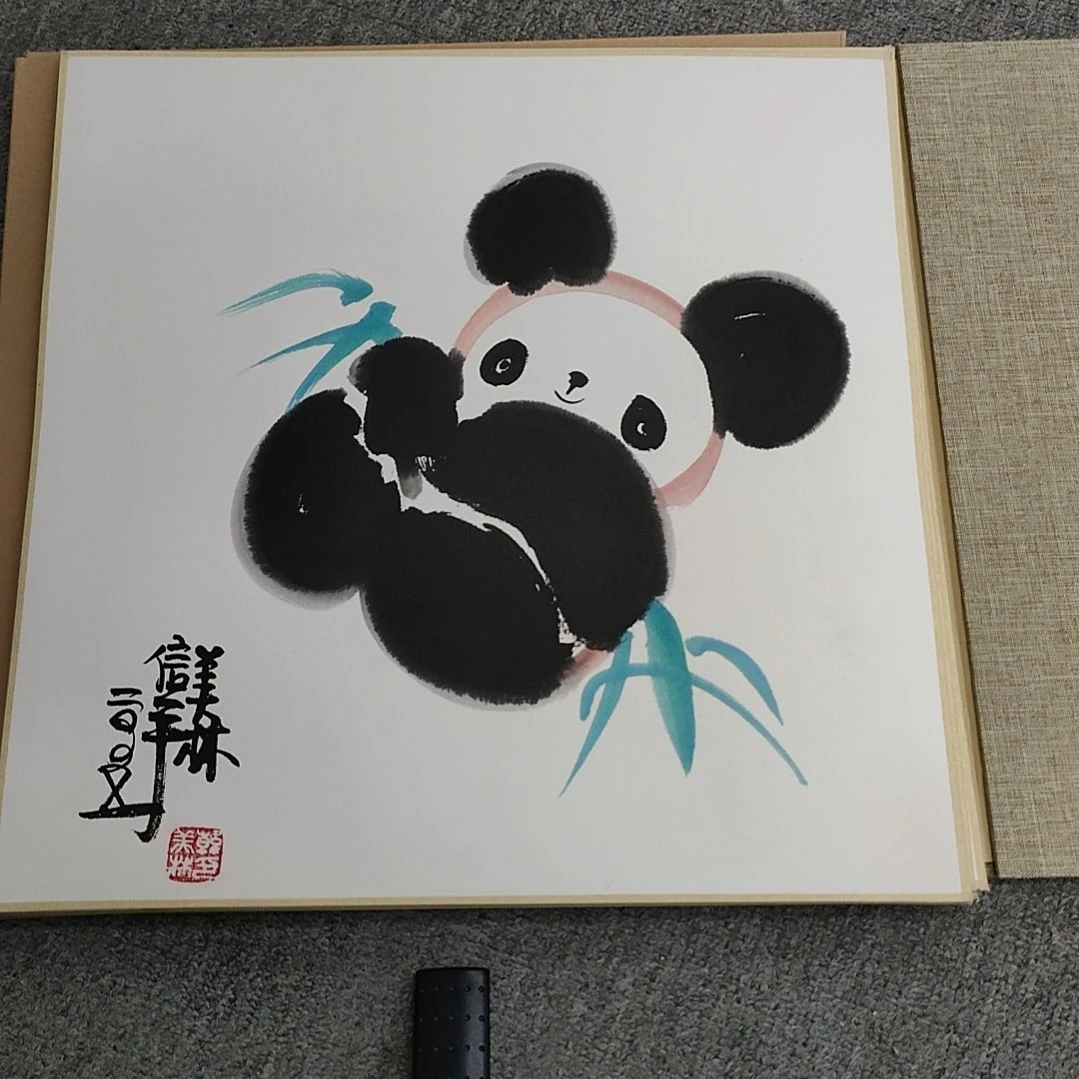 【闪购商品】绘画映****头