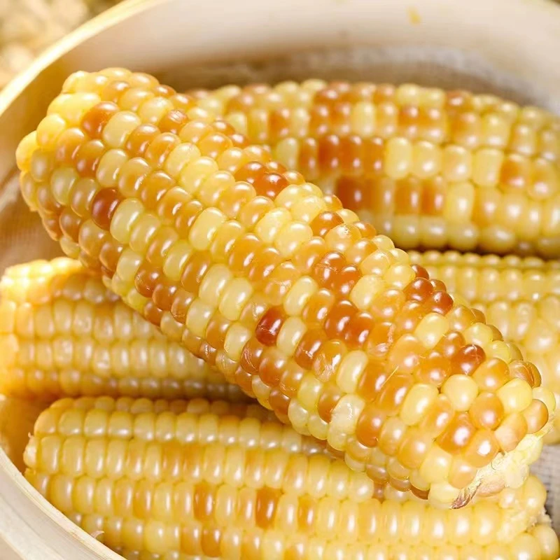 云南西双版纳玉米香糯小花糯玉米粒真空加热即食低脂学生早餐代餐