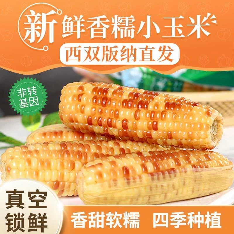 云南西双版纳香糯小玉米真空包装加热即食新鲜香甜软糯玉米棒早餐