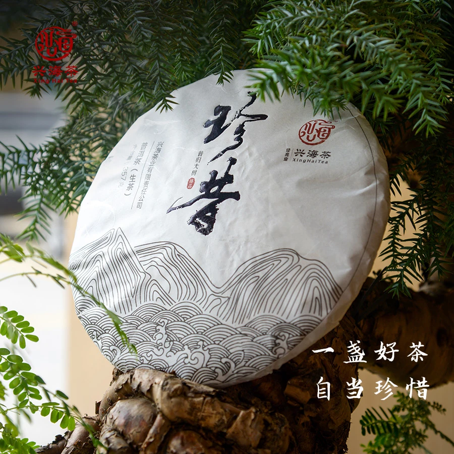 兴海·2019年珍昔（生茶）357g/饼