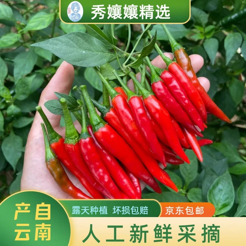 【京东空运】秀孃孃精选产地直发现摘小米椒新鲜辣椒朝天椒小米辣