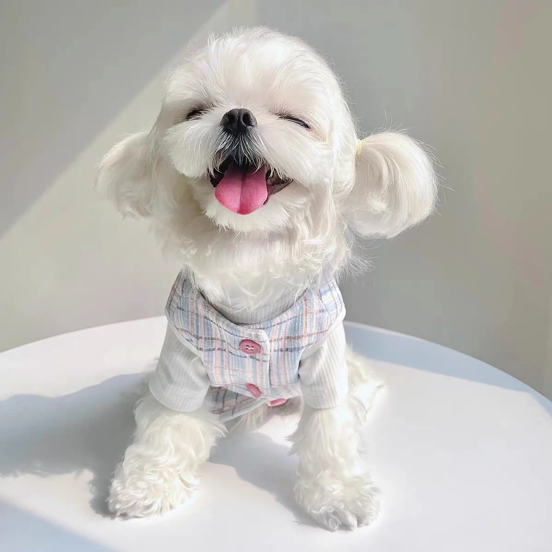 UNLEASHED合集 韩国ins风宠物打底长袖 马尔济斯比熊猫咪狗狗衣服