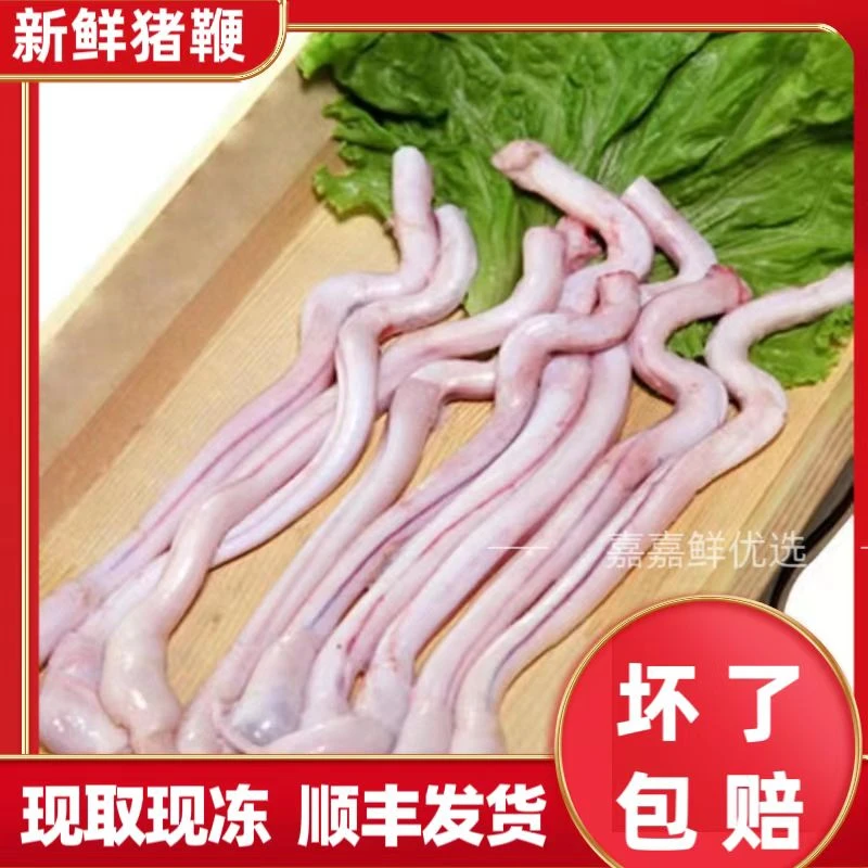 新鲜速冻土猪鞭冰冻精选去油农家精品猪小弟烧烤食材食用发货猪茎