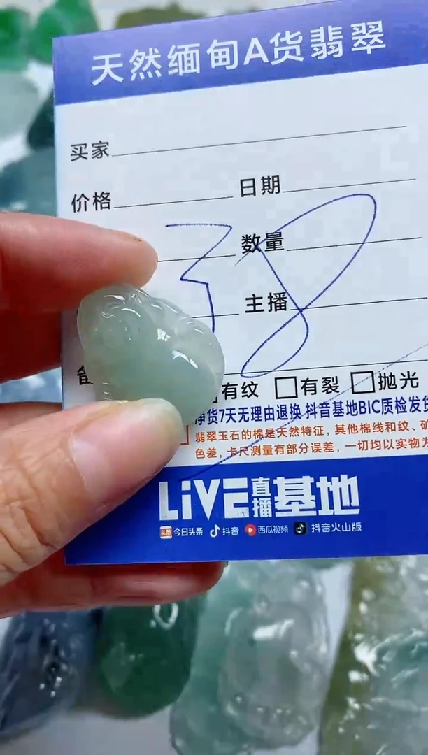 【闪购商品】翡翠颈饰未镶嵌A02