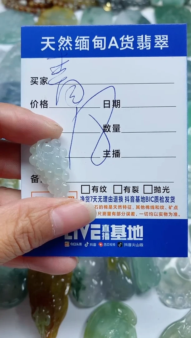 【闪购商品】翡翠颈饰未镶嵌A100