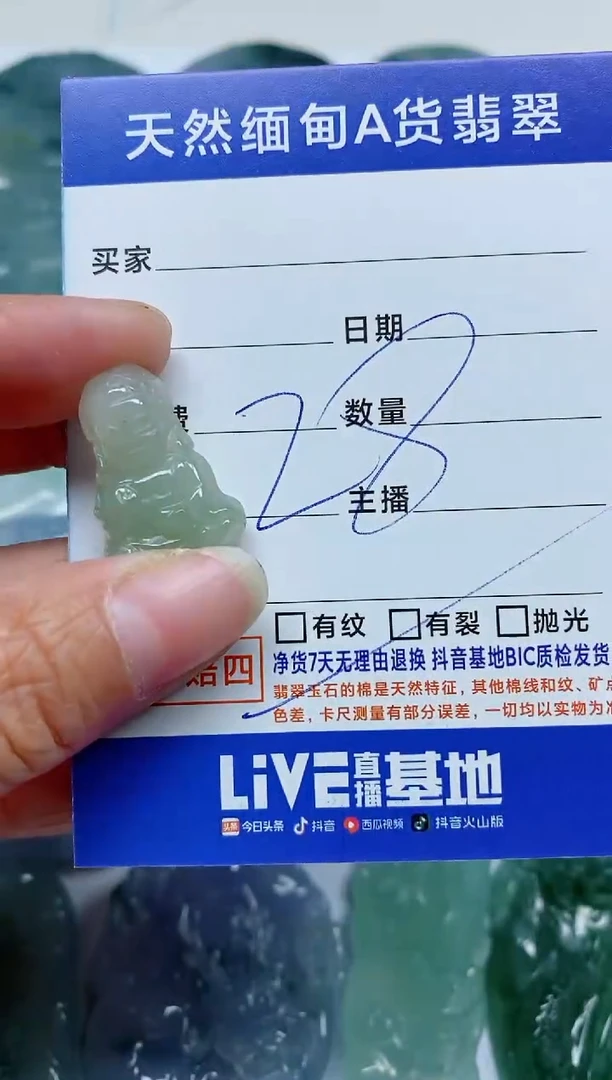 【闪购商品】翡翠颈饰未镶嵌A23