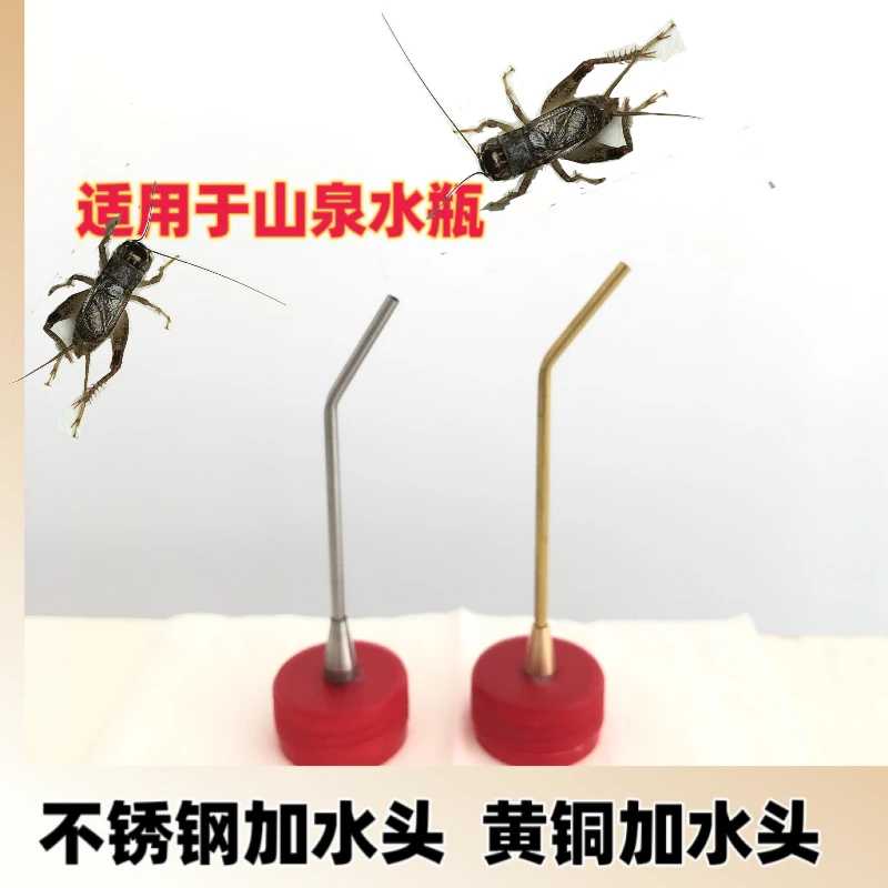 蟋蟀加水器不锈钢材质