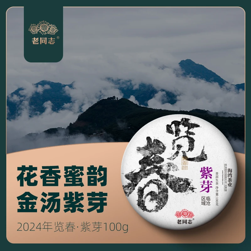 老同志普洱茶叶 2024年览春勐库大雪山紫芽  100g