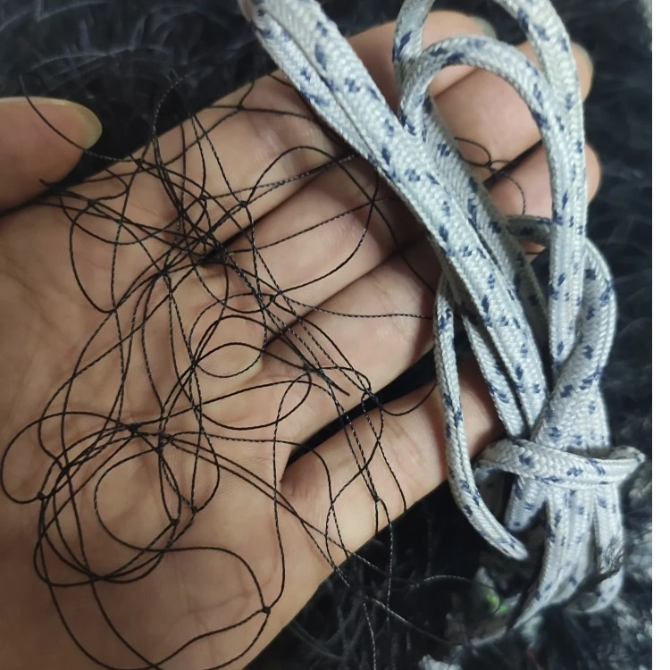 尼龙网单丝防鸟网水基网水丫网夜油专用网果园防护网养殖专用防护