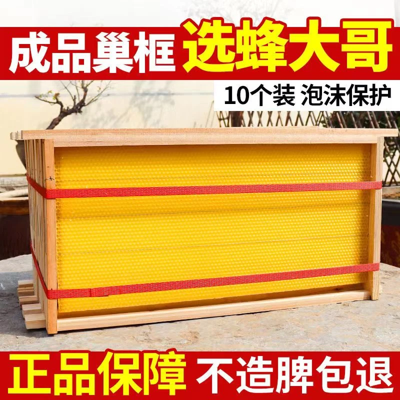 蜂大哥成品巢框蜜蜂巢础巢脾标准框中蜂意蜂蜂框上钢丝带畜牧工具