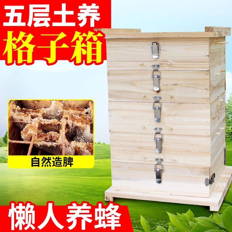 中蜂格子箱烘干原木蜜蜂箱杉木土蜂桶懒人诱蜂养蜂杉木蜂畜牧工具